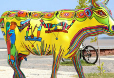 Obras Sociais Irmã Dulce serão beneficiadas com leilão da CowParade 