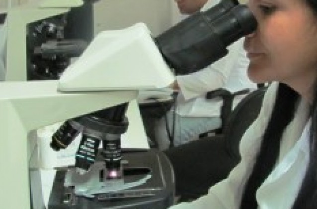 Laboratório do HO acima da média nacional Laboratório do HO acima da média nacional